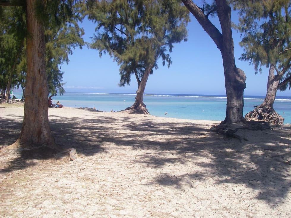 Le Saint Geran - A 3Mn A Pied De La Plage Et De Tous Commerces La Saline Le Bains Eksteriør bilde